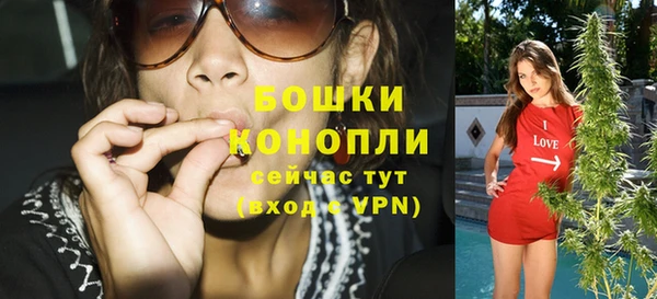 стаф Богородск