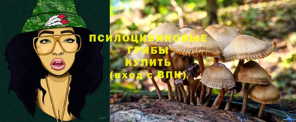стаф Богородск