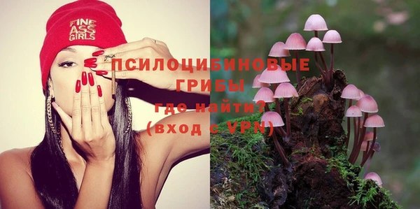 кокаин перу Богданович